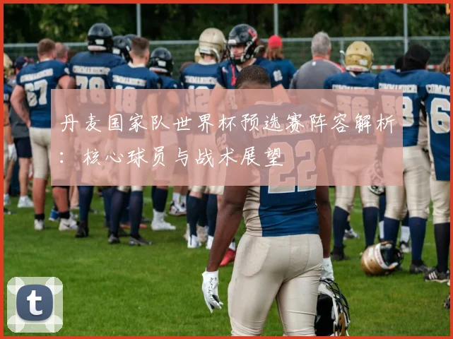 丹麦国家队世界杯预选赛阵容解析：核心球员与战术展望