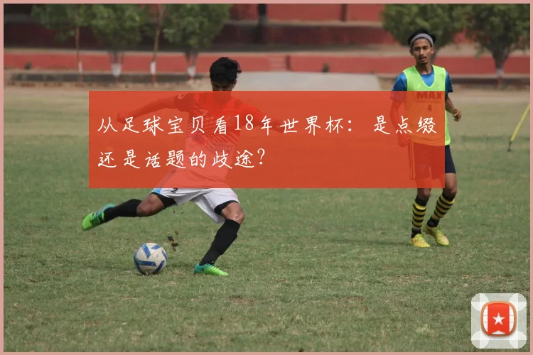 从足球宝贝看18年世界杯：是点缀还是话题的歧途？