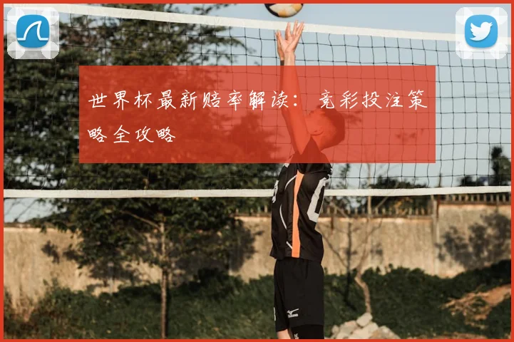 世界杯最新赔率解读：竞彩投注策略全攻略