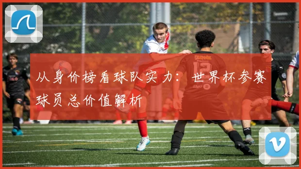 从身价榜看球队实力：世界杯参赛球员总价值解析