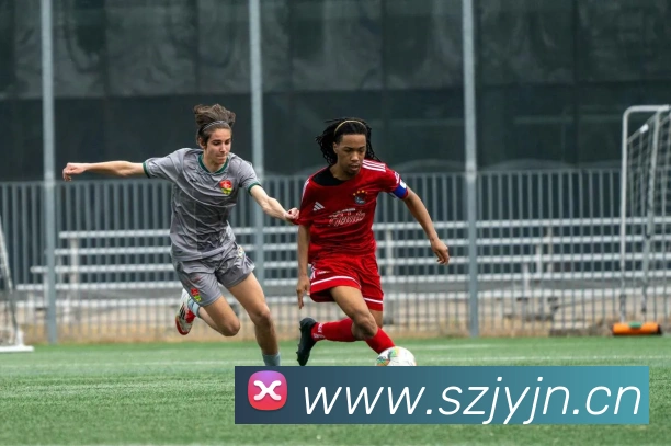 k1体育官方平台生态图