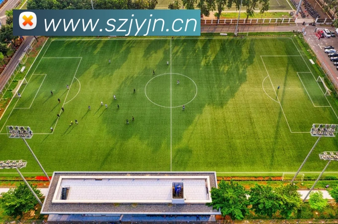 k1体育官方APP 封面图